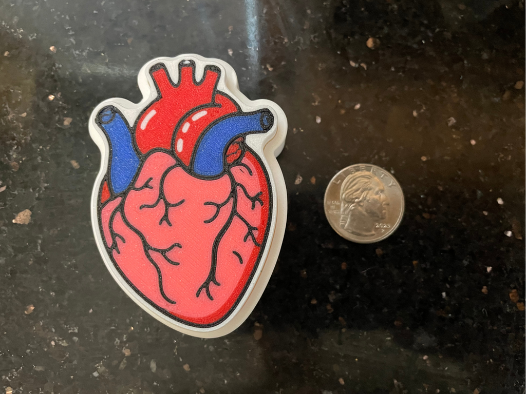 Anatomical Heart Clicker