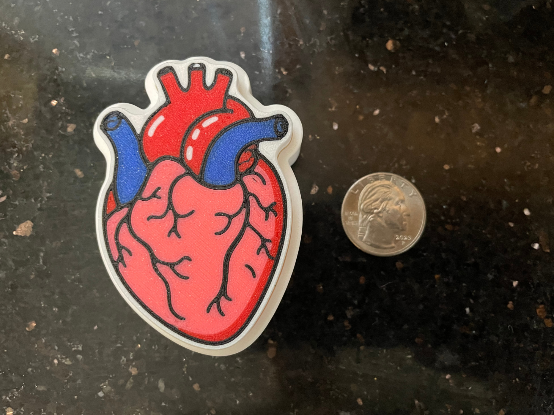 Anatomical Heart Clicker