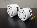 5010 Cycloidal Gear Actuator