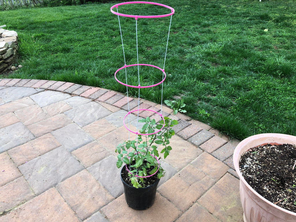 Garden Trellis Coat Hanger Cage