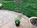 Garden Trellis Coat Hanger Cage