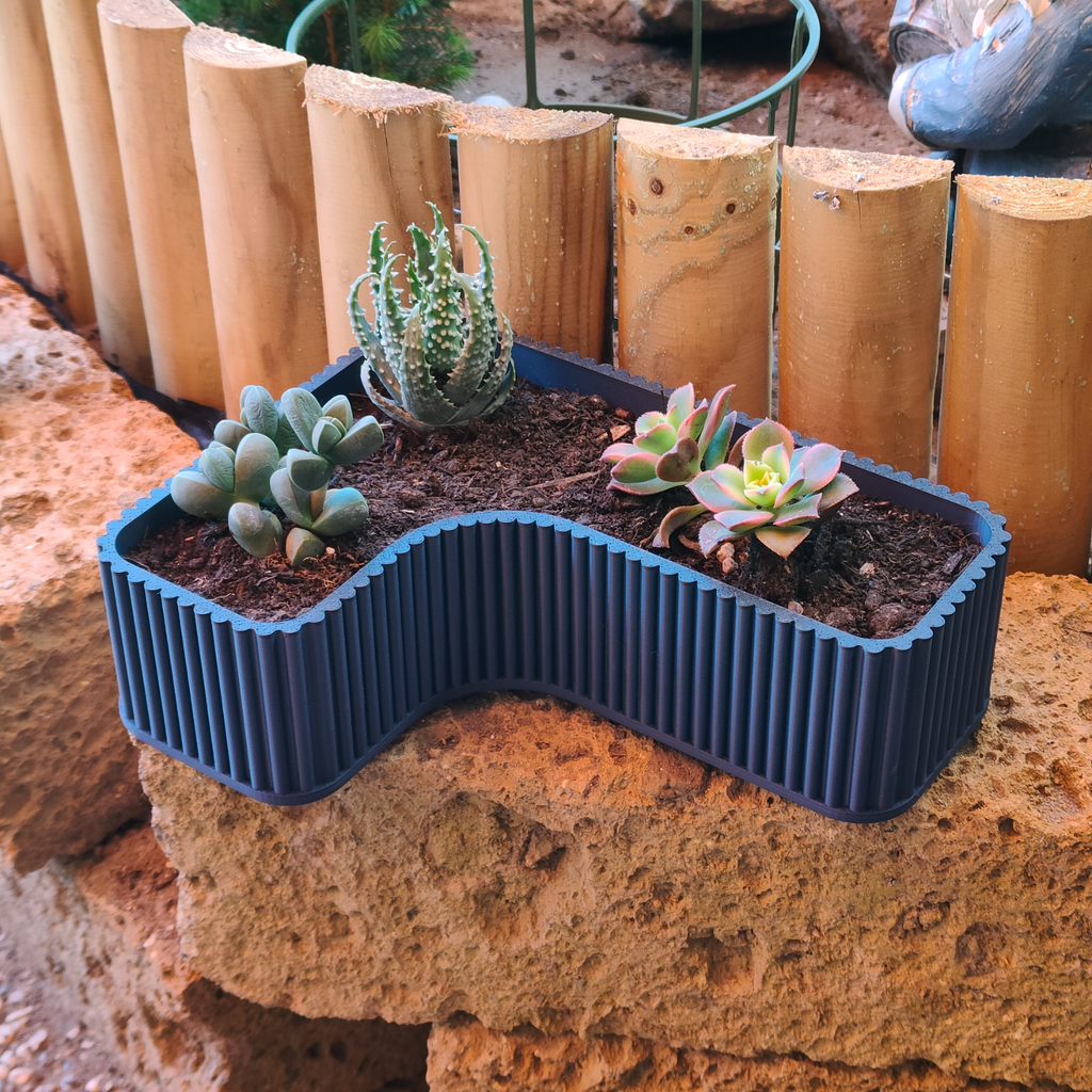 vase pianta