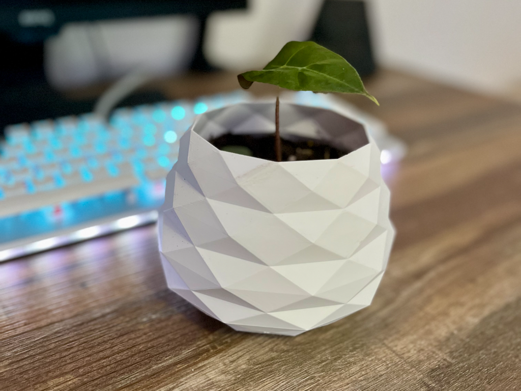 Small low poly pot
