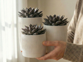Azet – Modern Ribbed Planter Set