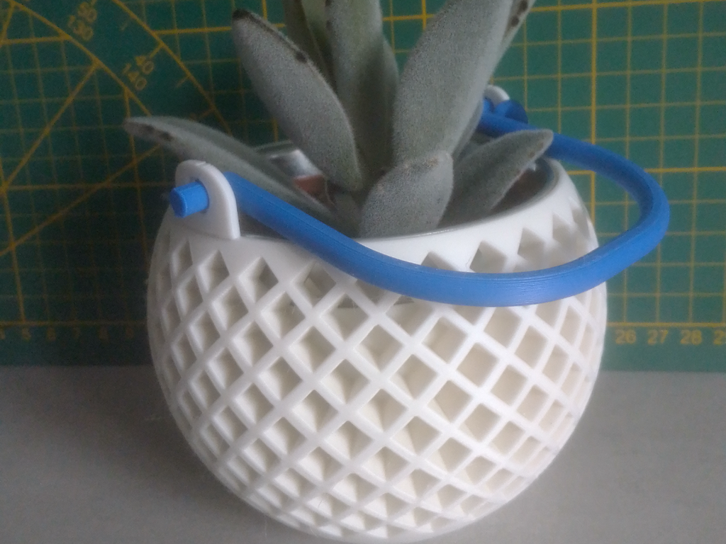 Plant pot with handle