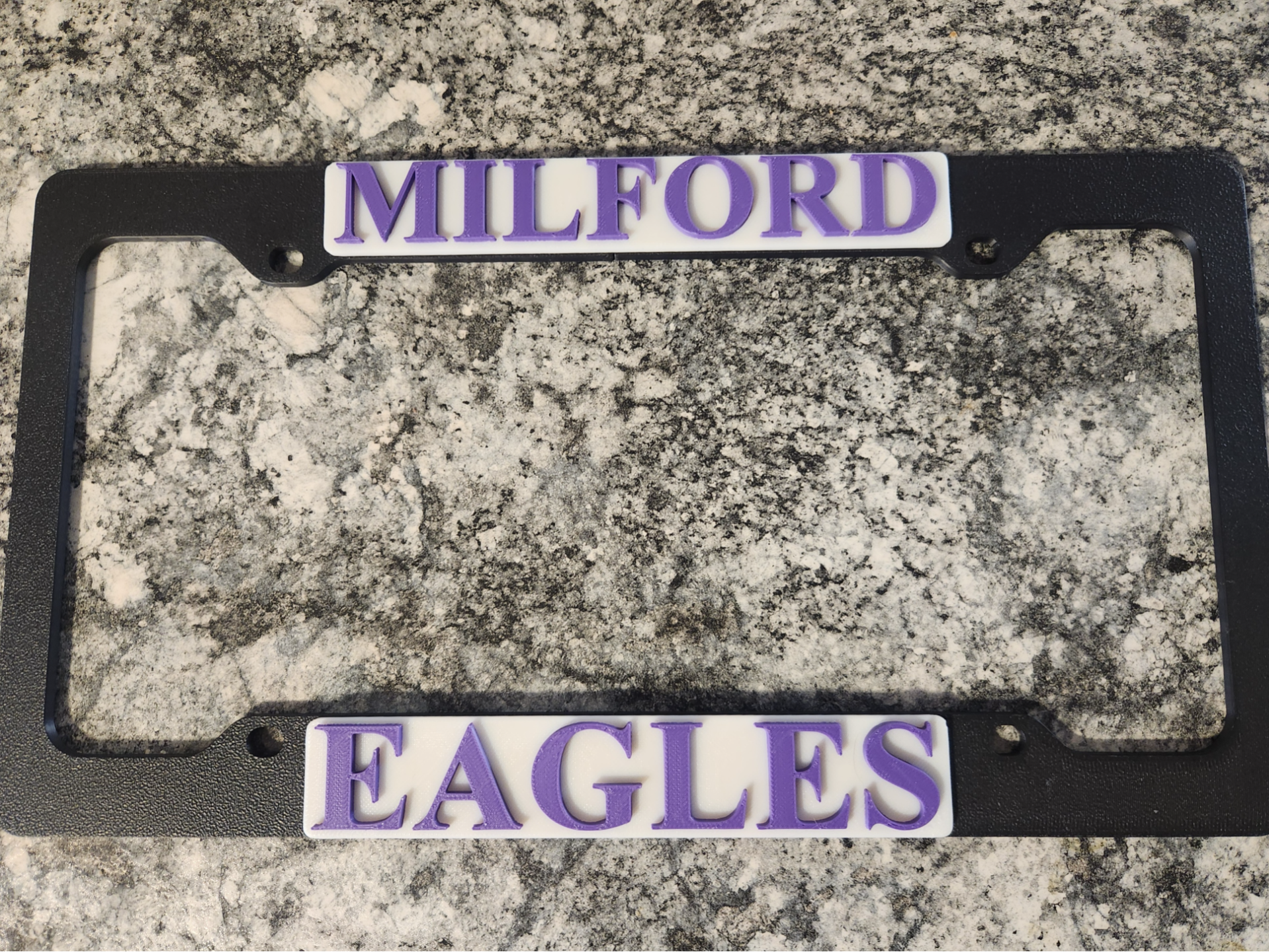 Customizable License Plate Frame (12" American)
