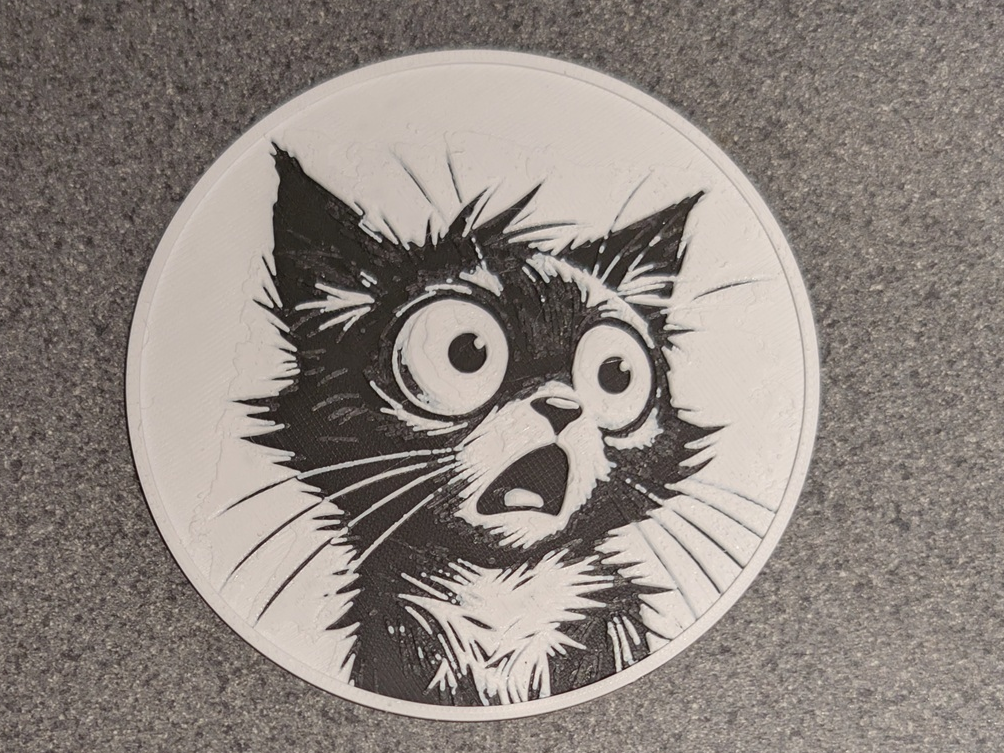 Shocked Cat Coaster 3