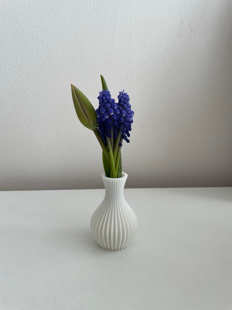 Elegant Vase (Vase Mode)