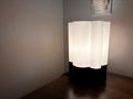 Designer lamp