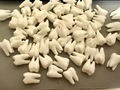 Tooth