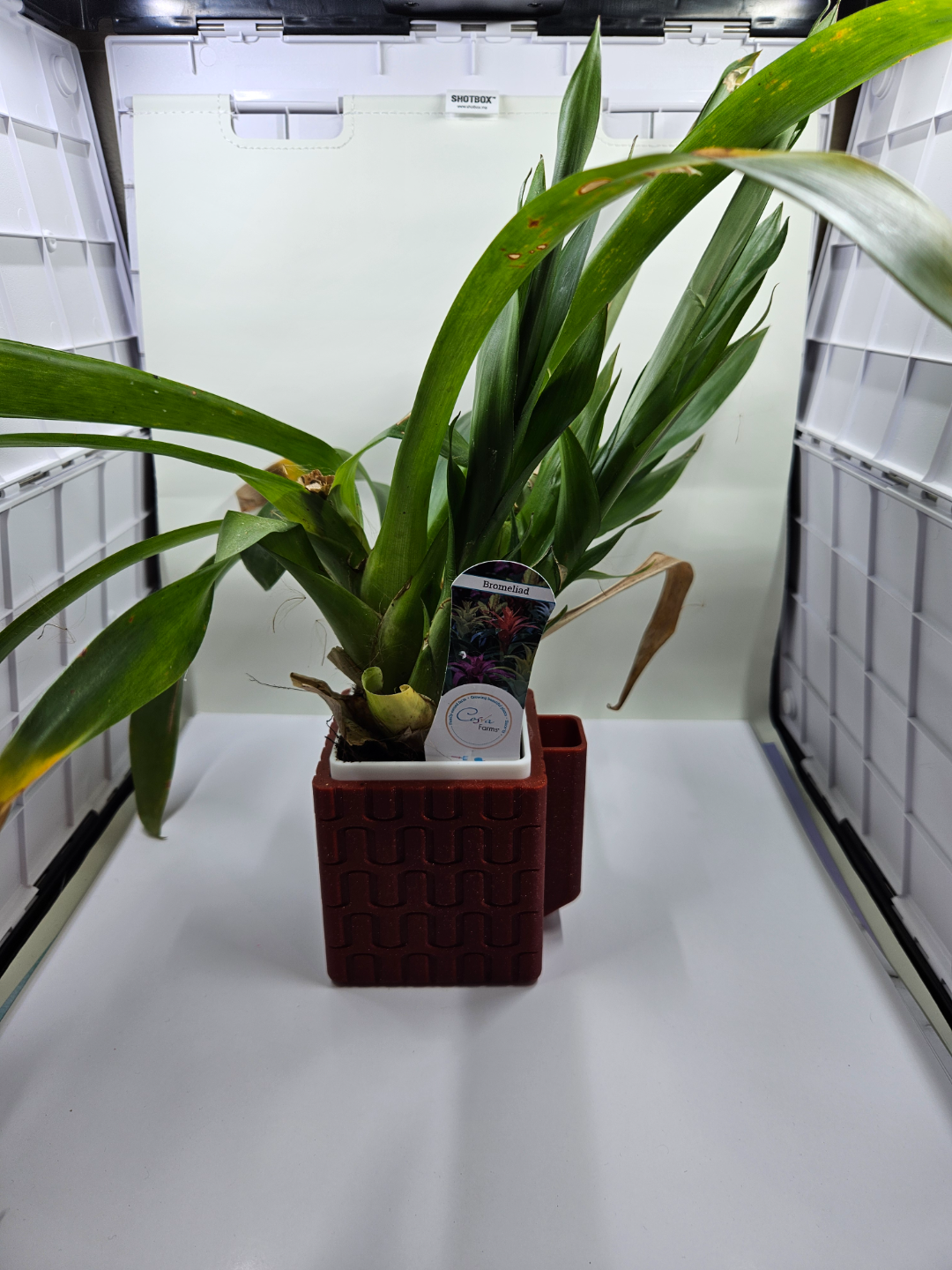 planter / self watering