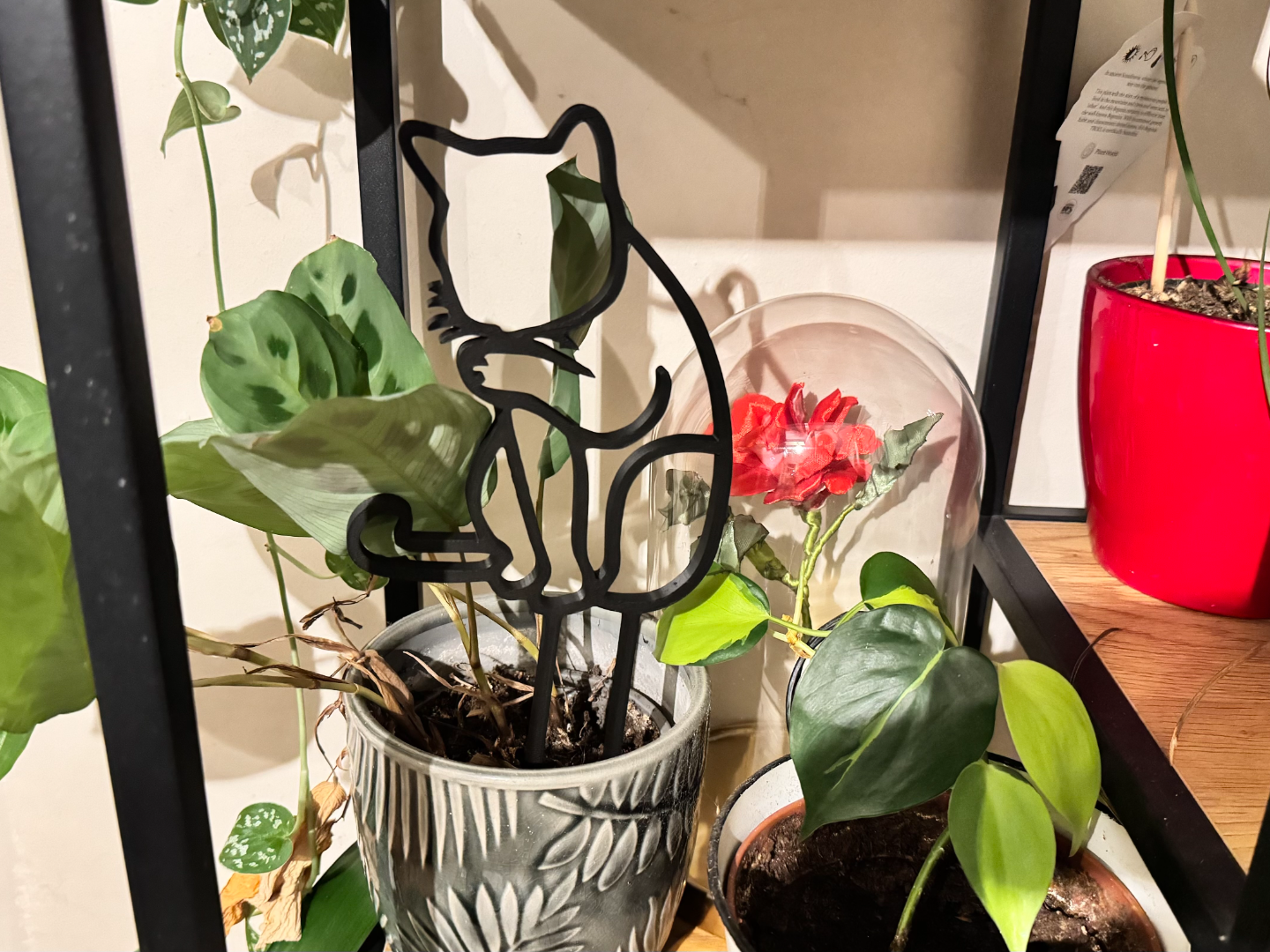 Plant trellis, support, Cat theme