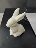 Silhouette of an easter bunny