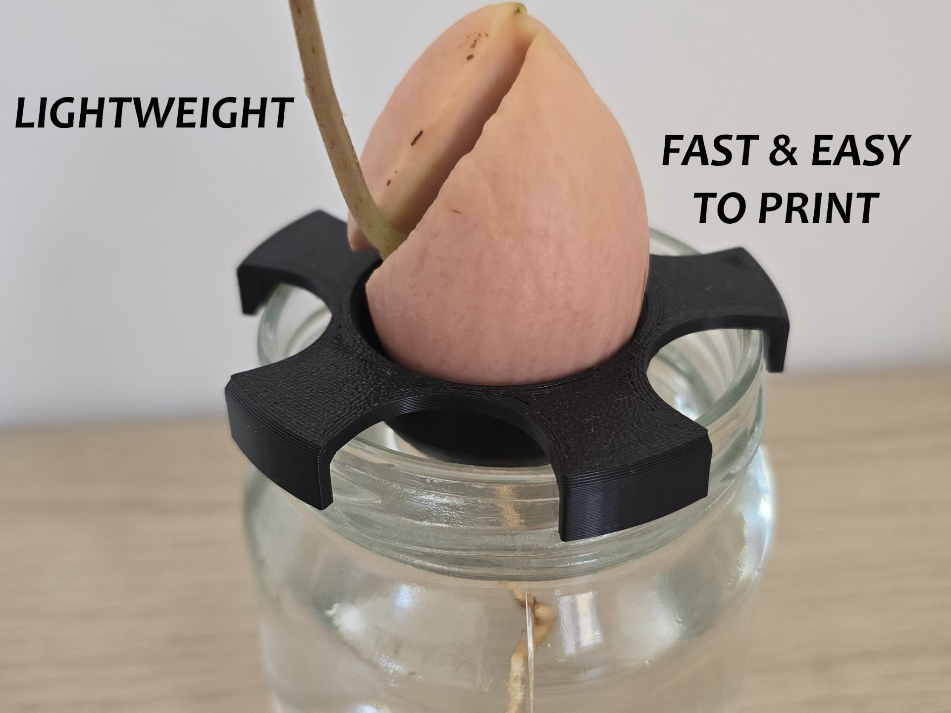 Avocado Seed Germinating Holder