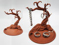 Namibian Acacia Jewelry Tree