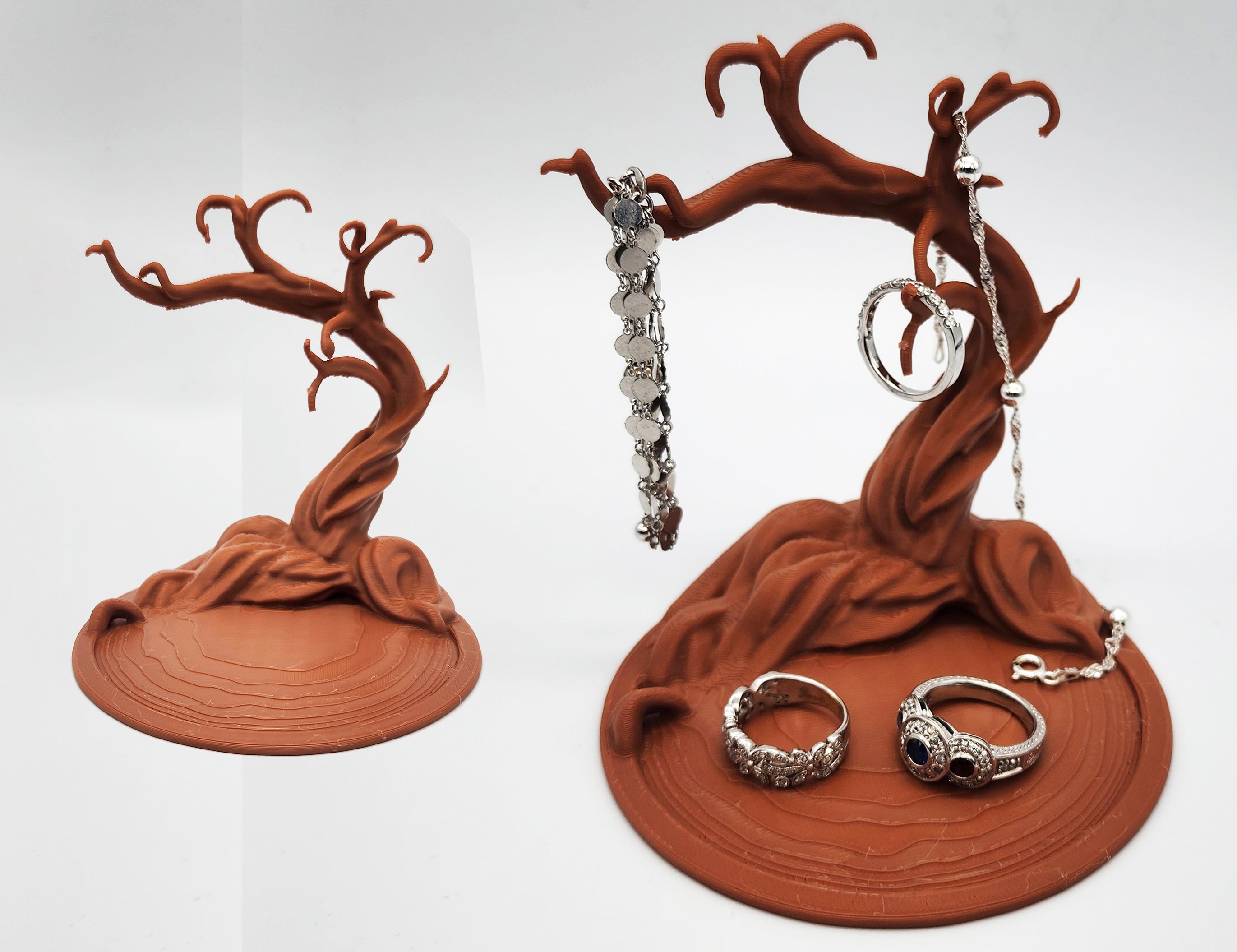 Namibian Acacia Jewelry Tree