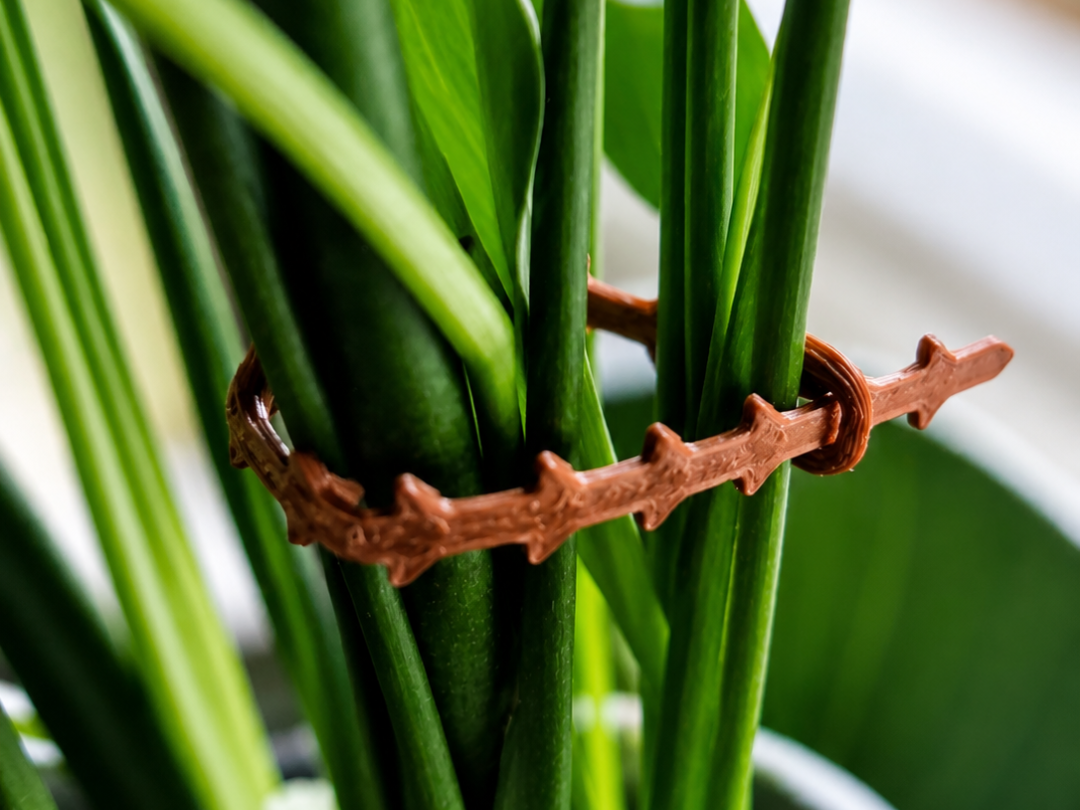 Plant Support