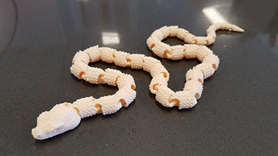 Snake with Scales version2