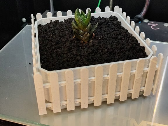 Vaso pianta