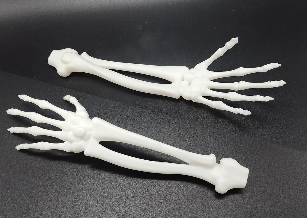 Skeletal Forearm & Hand