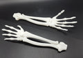 Skeletal Forearm & Hand