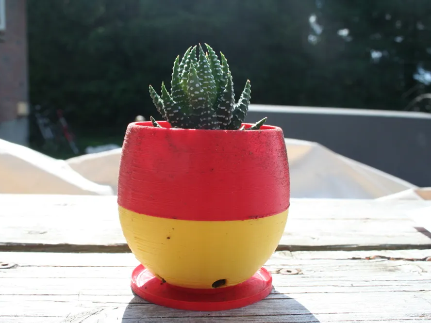 Simple Small Succulent Planter