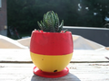 Simple Small Succulent Planter