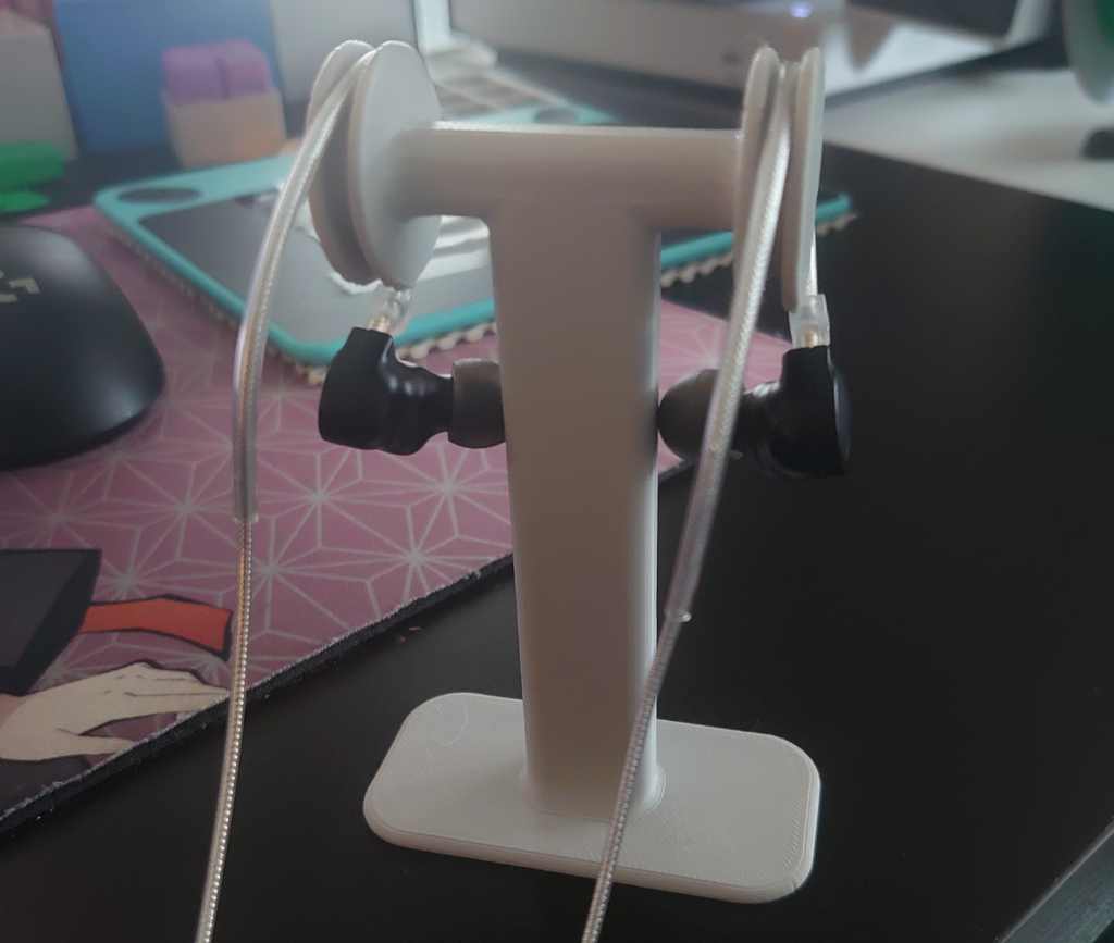 IEM holder