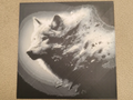 Wolf hueforge