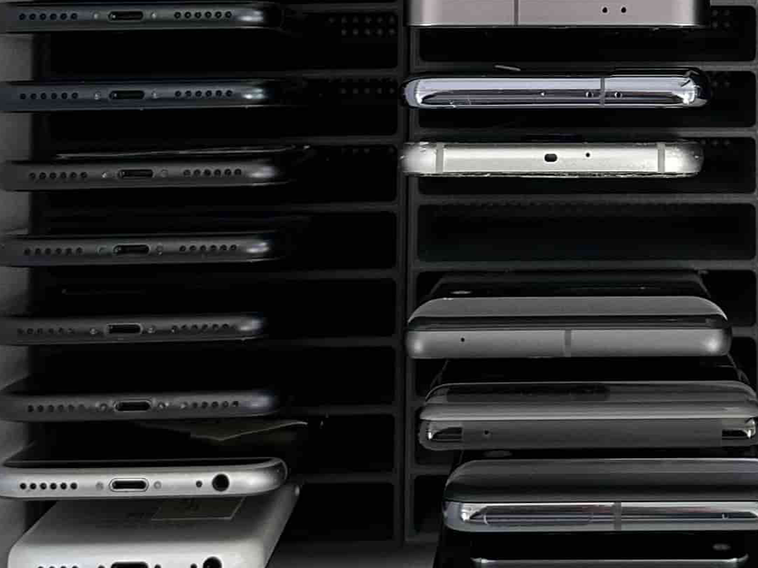 Multiple Phone Organizer