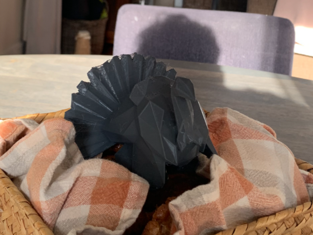 LowPoly Turkey