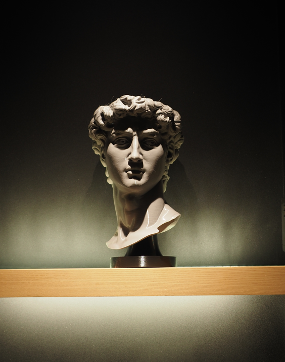 David flowerpot