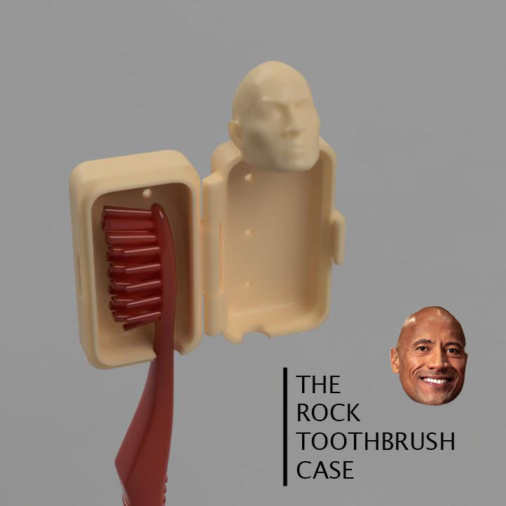The Rock Toothbrush Case