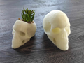 Low Poly Skull Planter