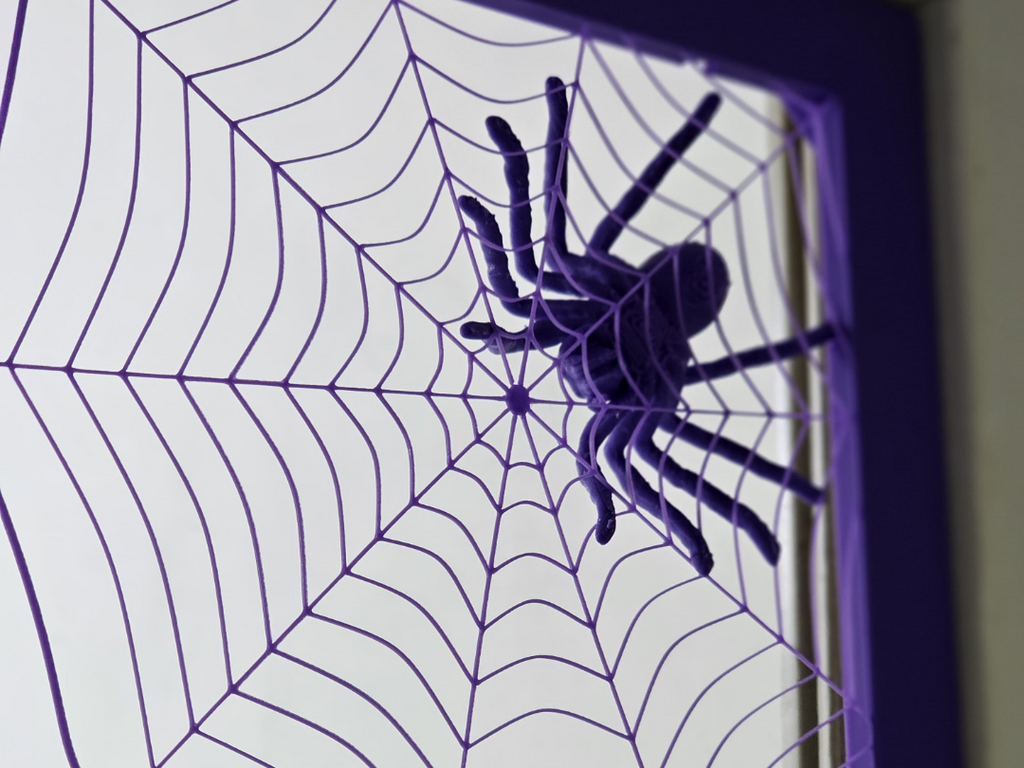 Spider in web
