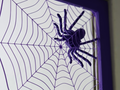 Spider in web