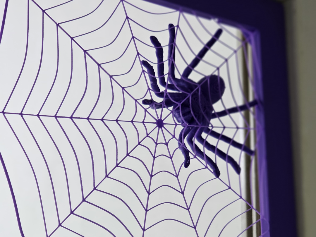 Spider in web