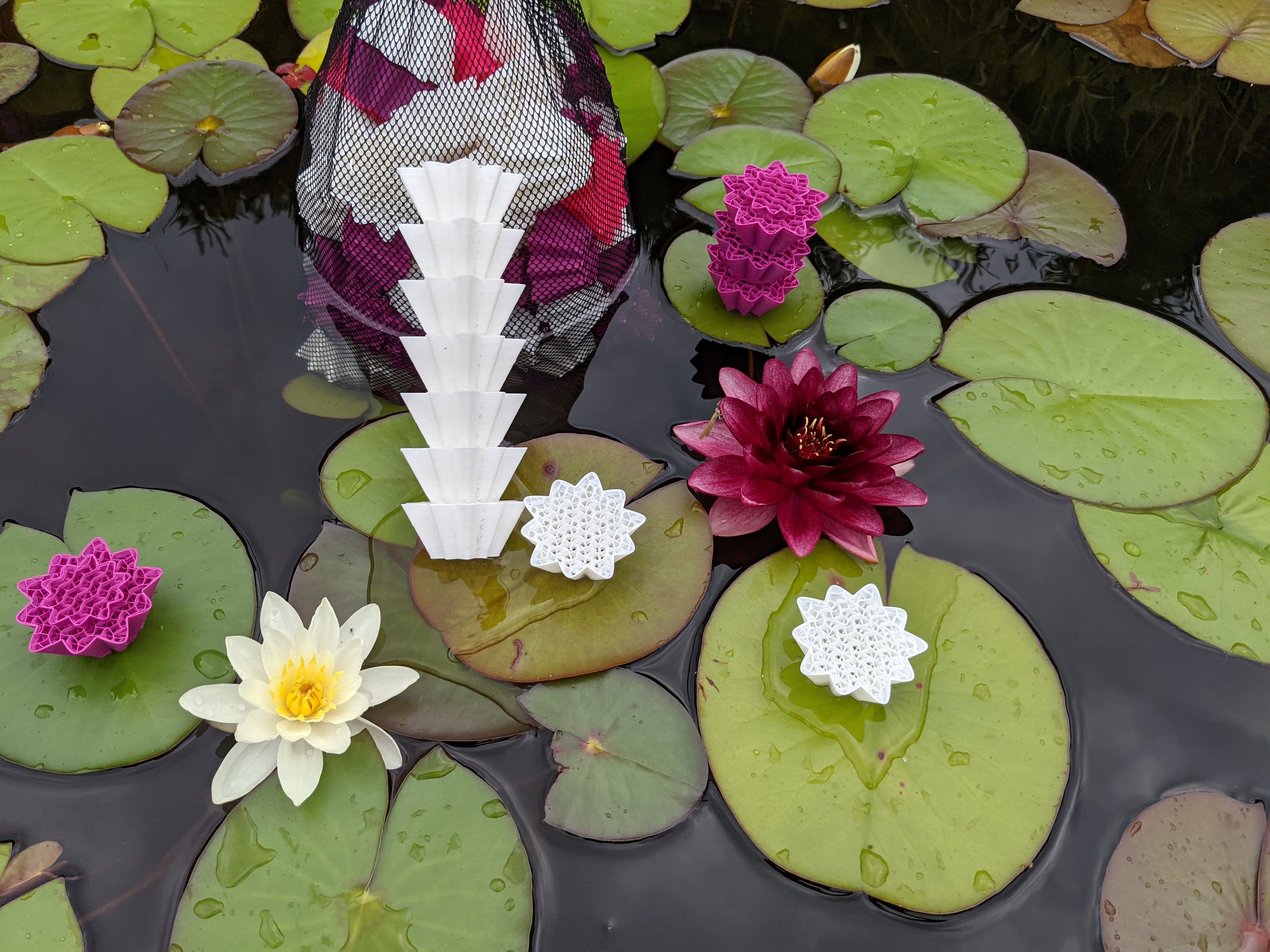 Water Lilly Pond Filter Media