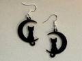 Cat and Moon Earrings