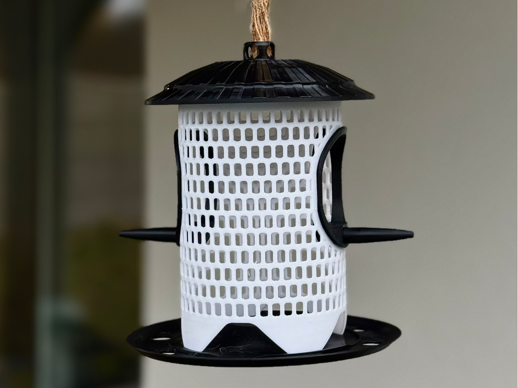 Modern bird feeder