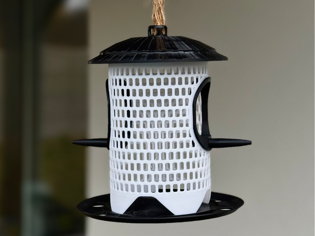 Modern bird feeder