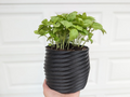 Flower Pot