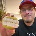 Pumpkin Teeth for carving decoration