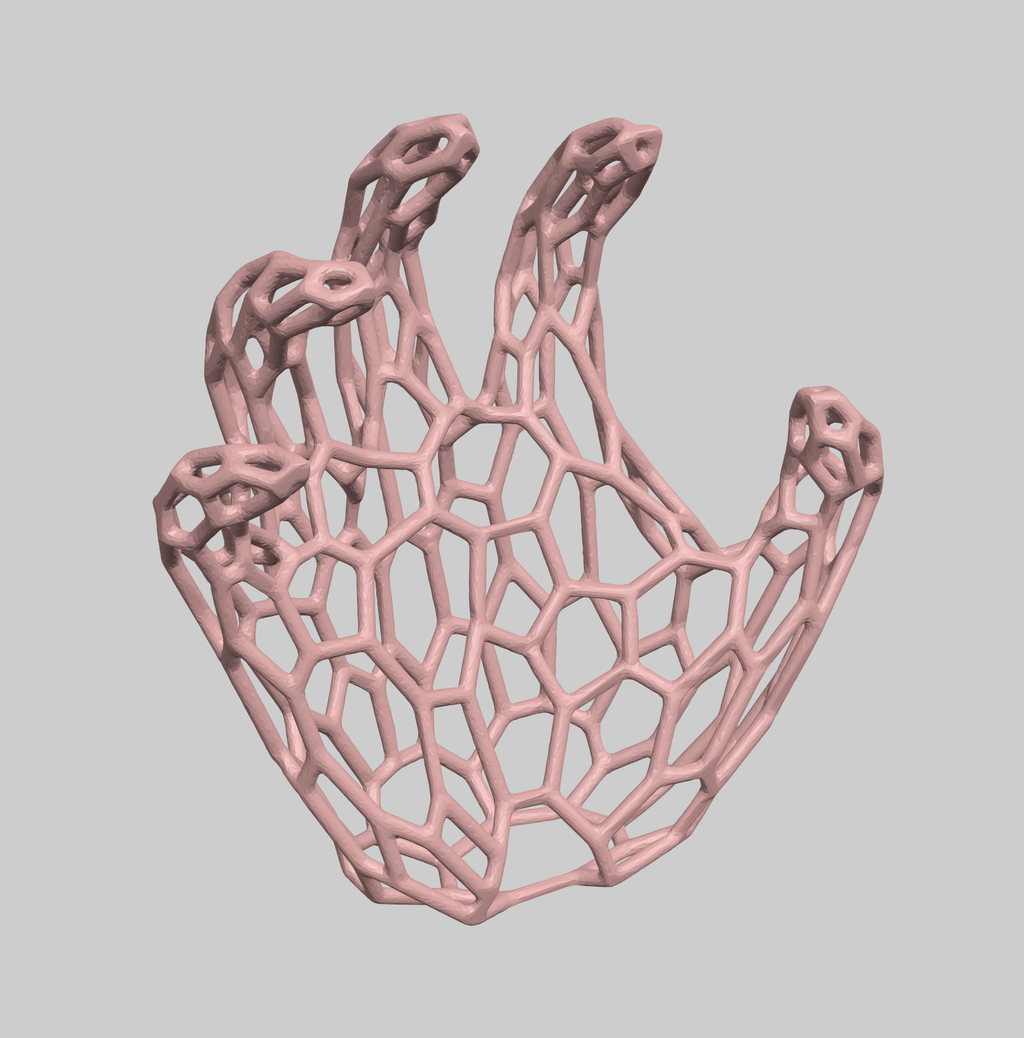 Human Hand Voronoi