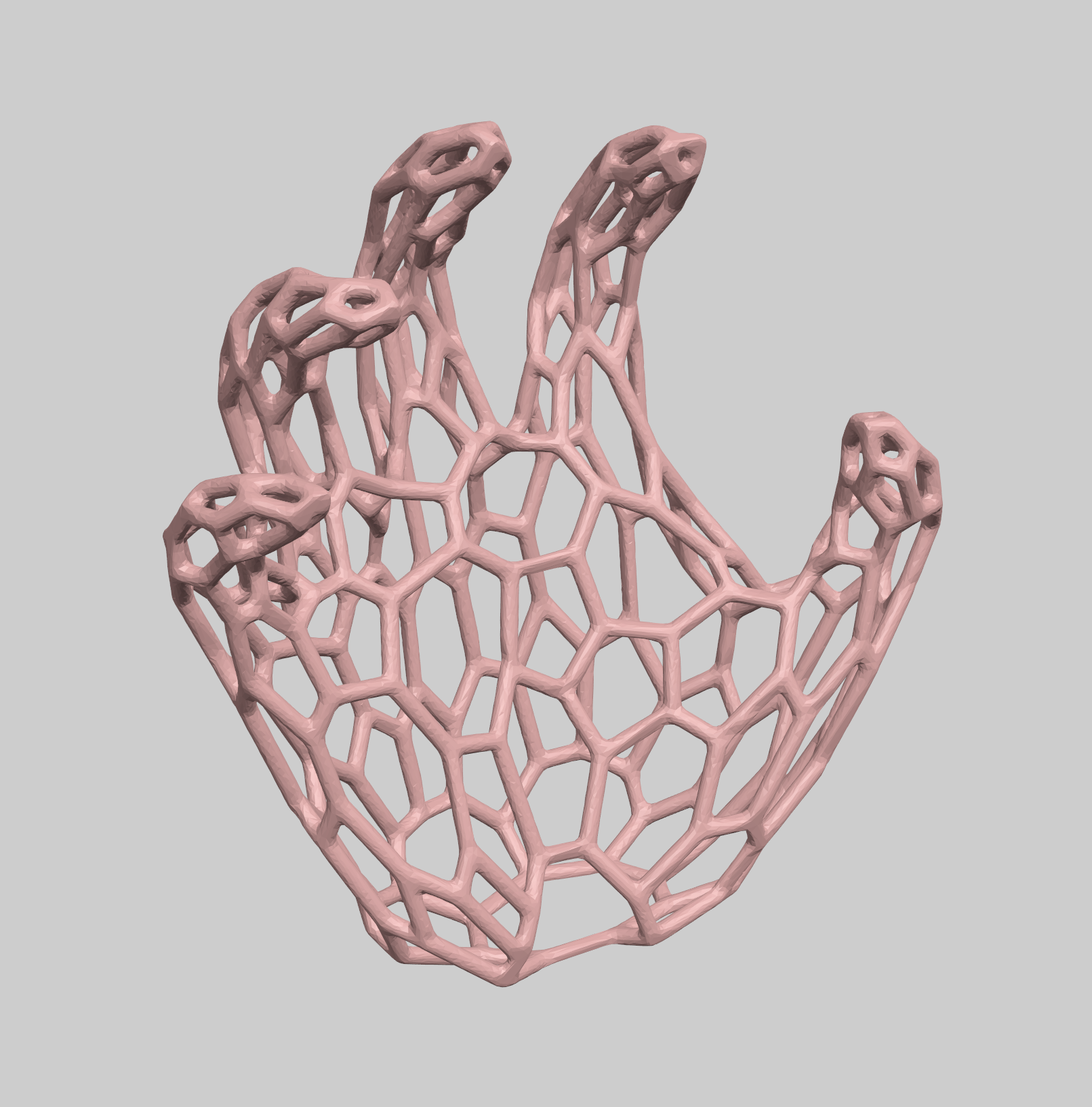 Human Hand Voronoi