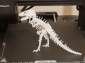 T-rex kit card