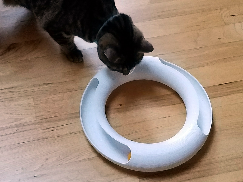 Cat Track Toy for Ping Pong Balls