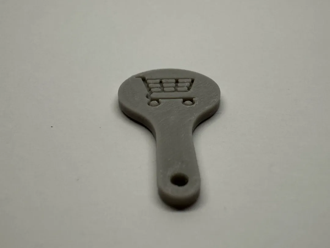 Shopping cart coin