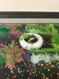 Fish tank floating plant pot