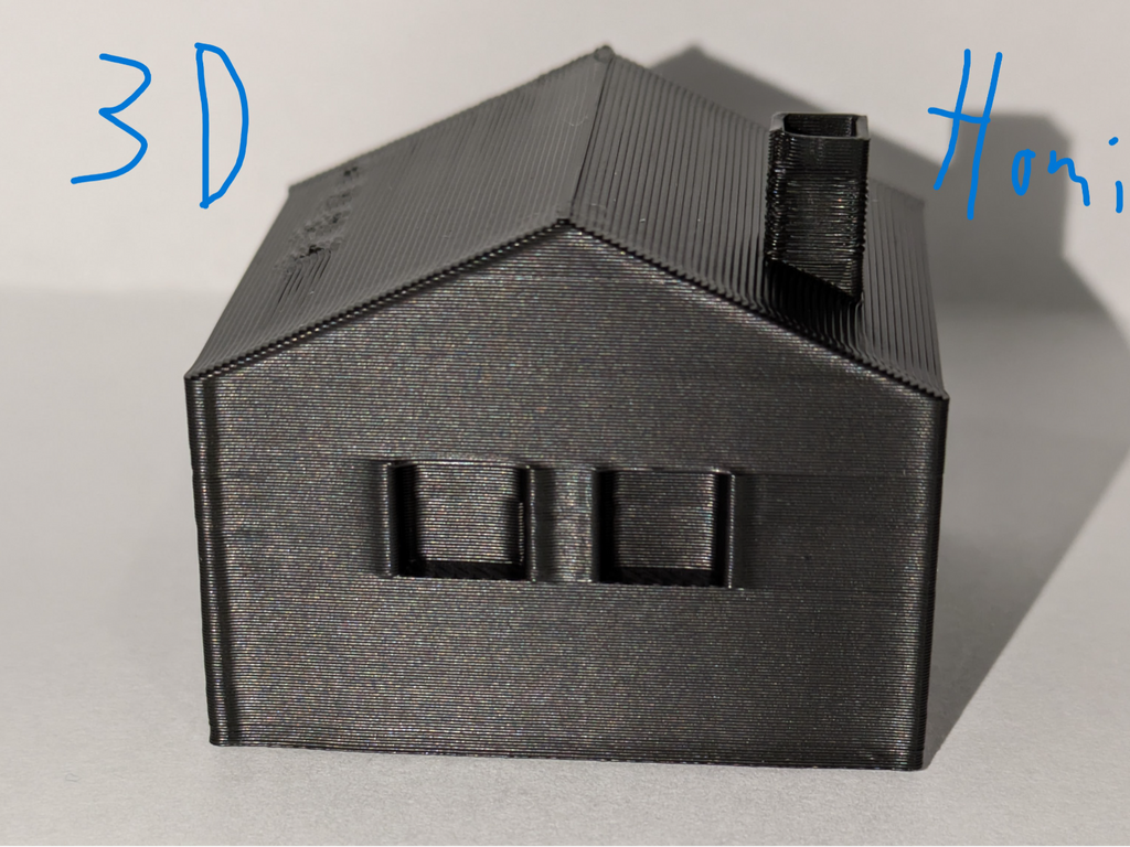 3D Homi